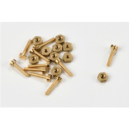 Brass screws with nuts M1x5mm