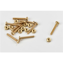 Brass screws with nuts M2x14mm