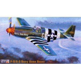 P-51B-5