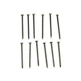 Brass nails 10mm round head