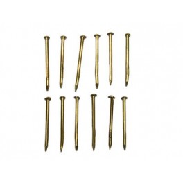 Brass nails 12mm