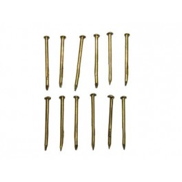 Brass nails 10mm