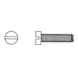 Plastic screw M6x80