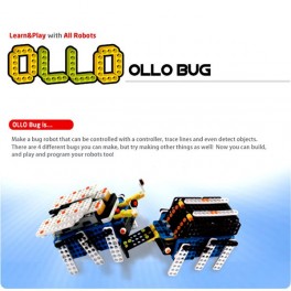 OLLO Bug