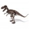 Paleontologo rinkinys T-Rex